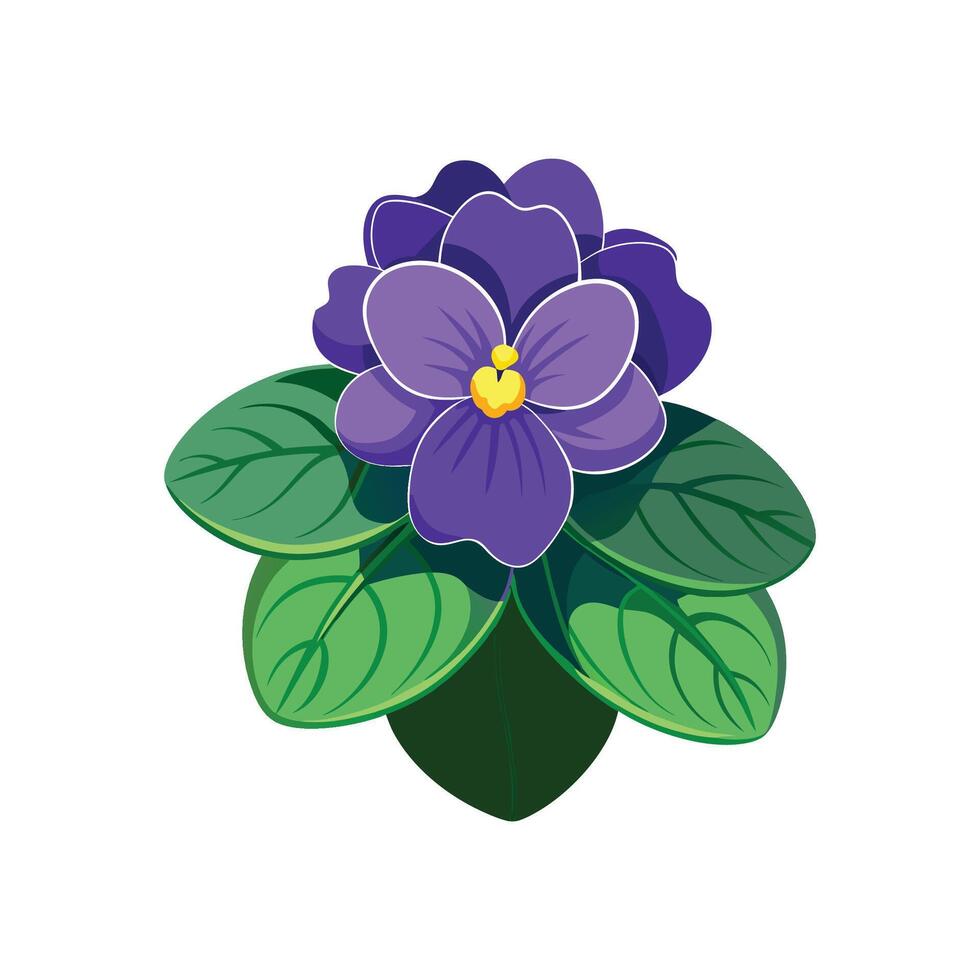 Elegant African Violet Plant Design vector