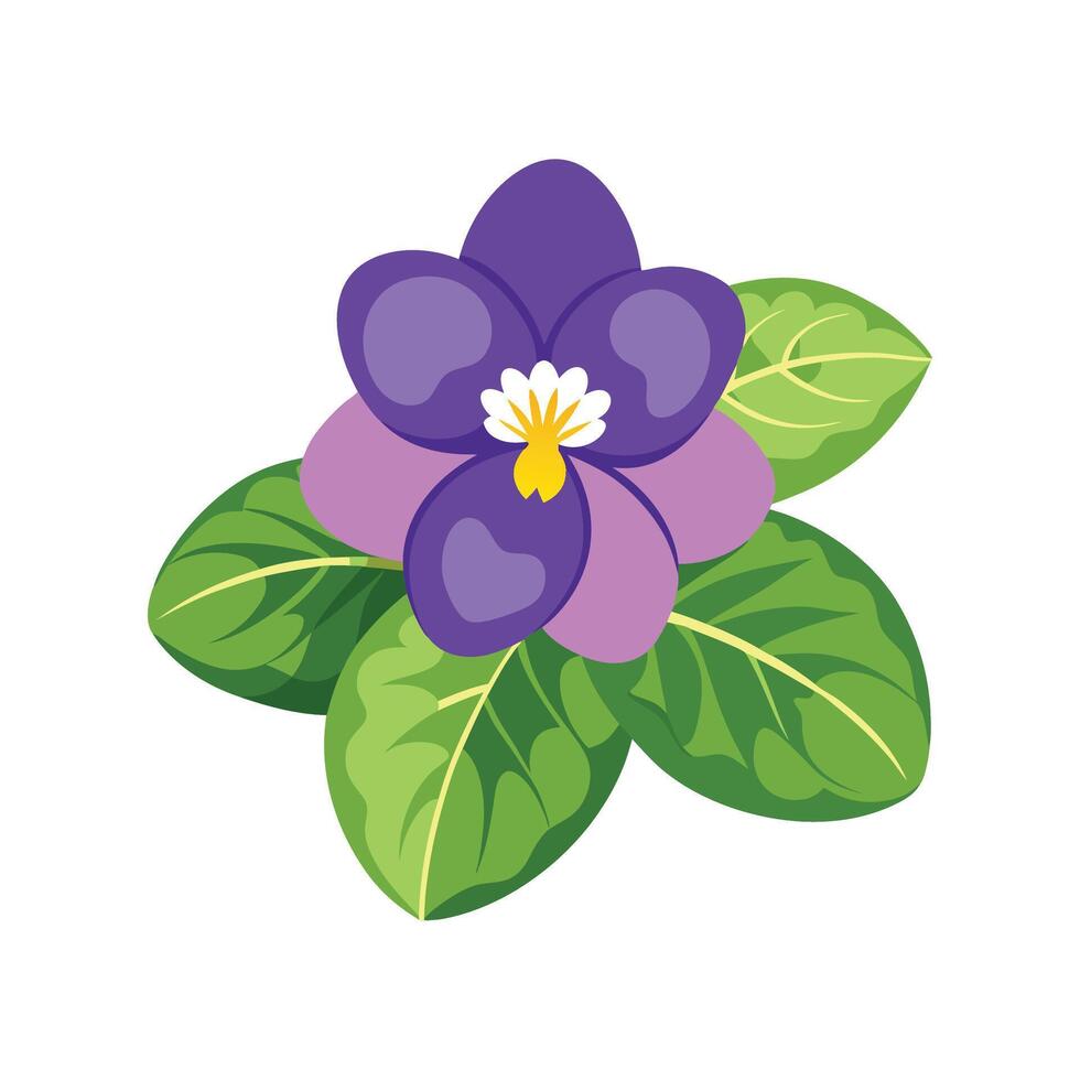 Unique African Violet Plant Design vector