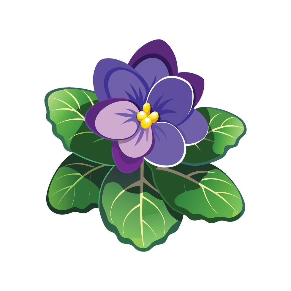 Gorgeous African Violet Illustration vector