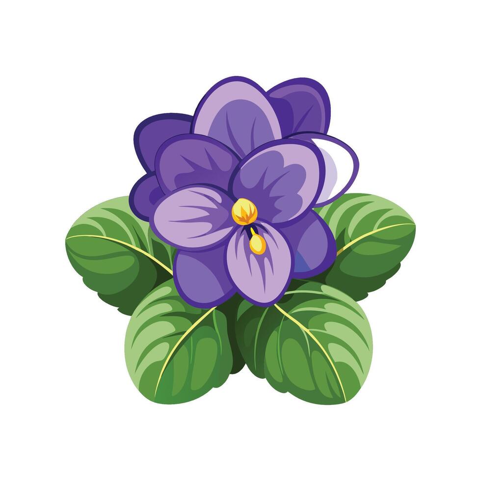 Elegant Saintpaulia Plant Artwork vector