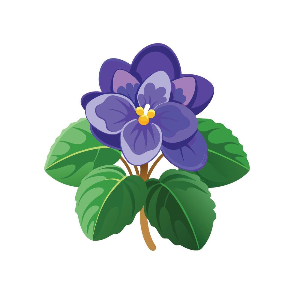 Charming Saintpaulia Plant Design vector