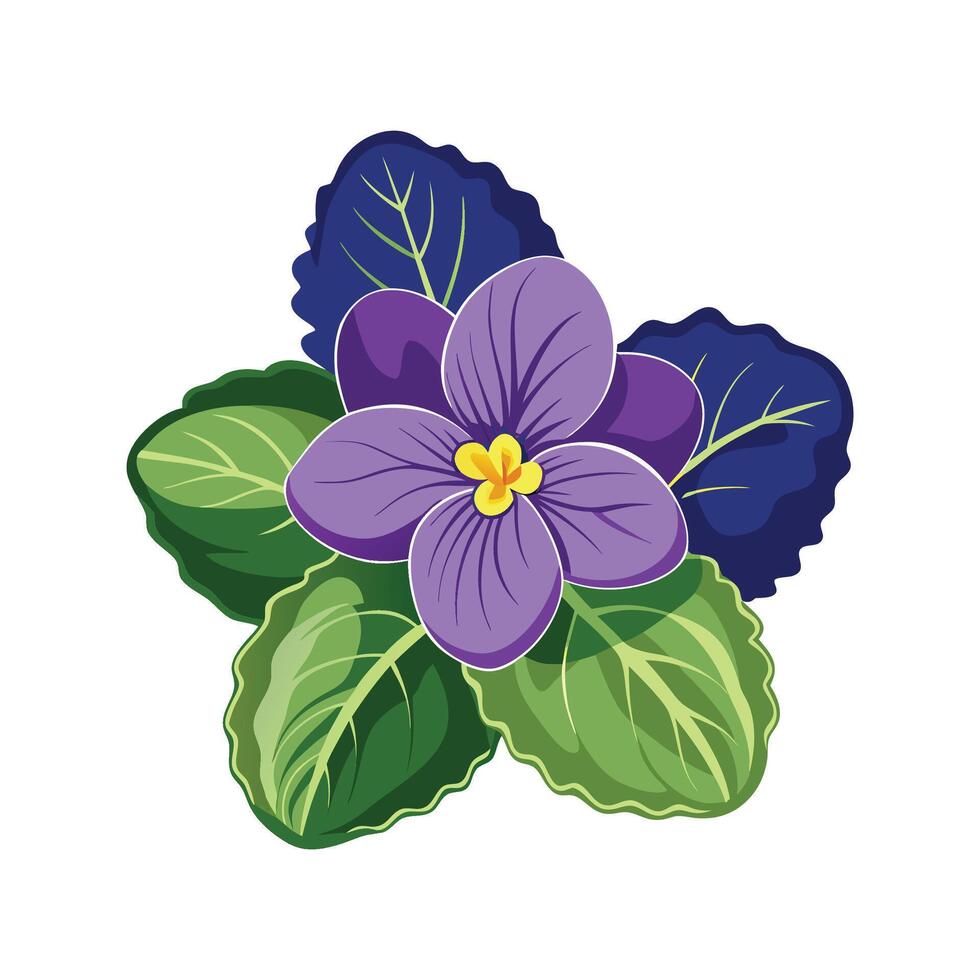 Striking African Violet Plant Artwork vector