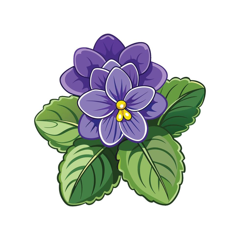 Charming Saintpaulia Plant Artwork vector