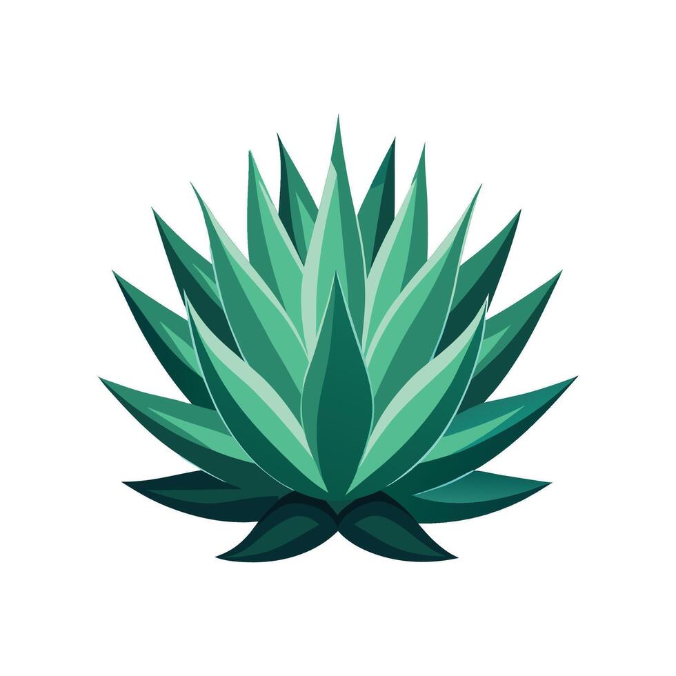 Beautiful Agave Plant Design vector