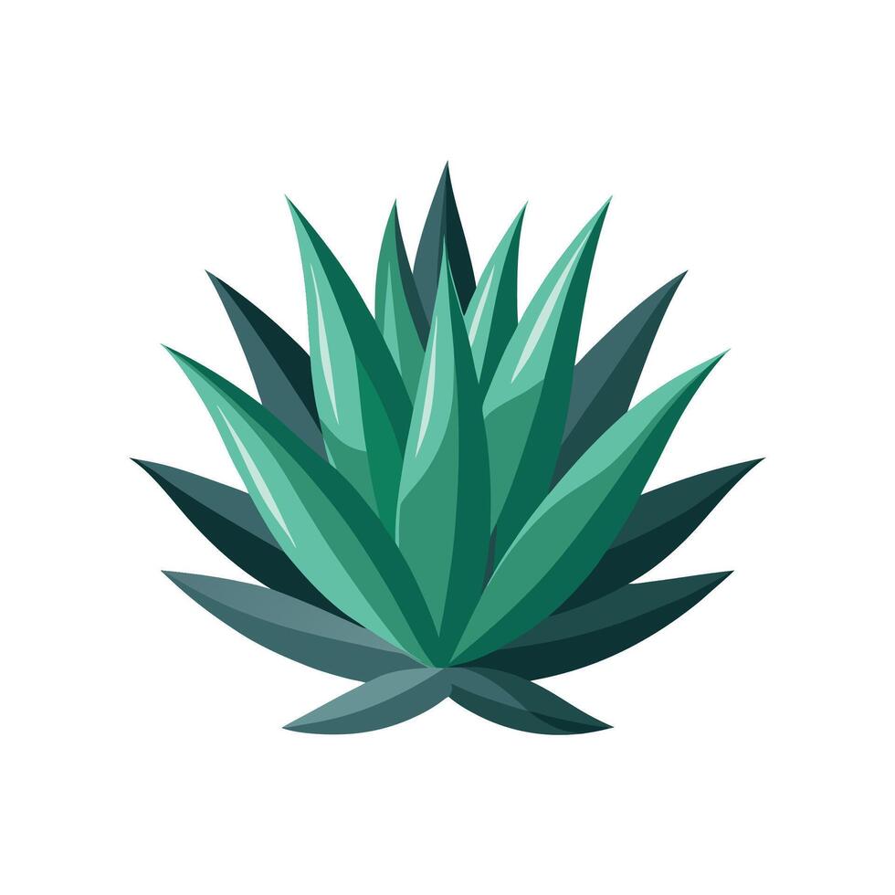 Gorgeous Agave Plant Illustration vector