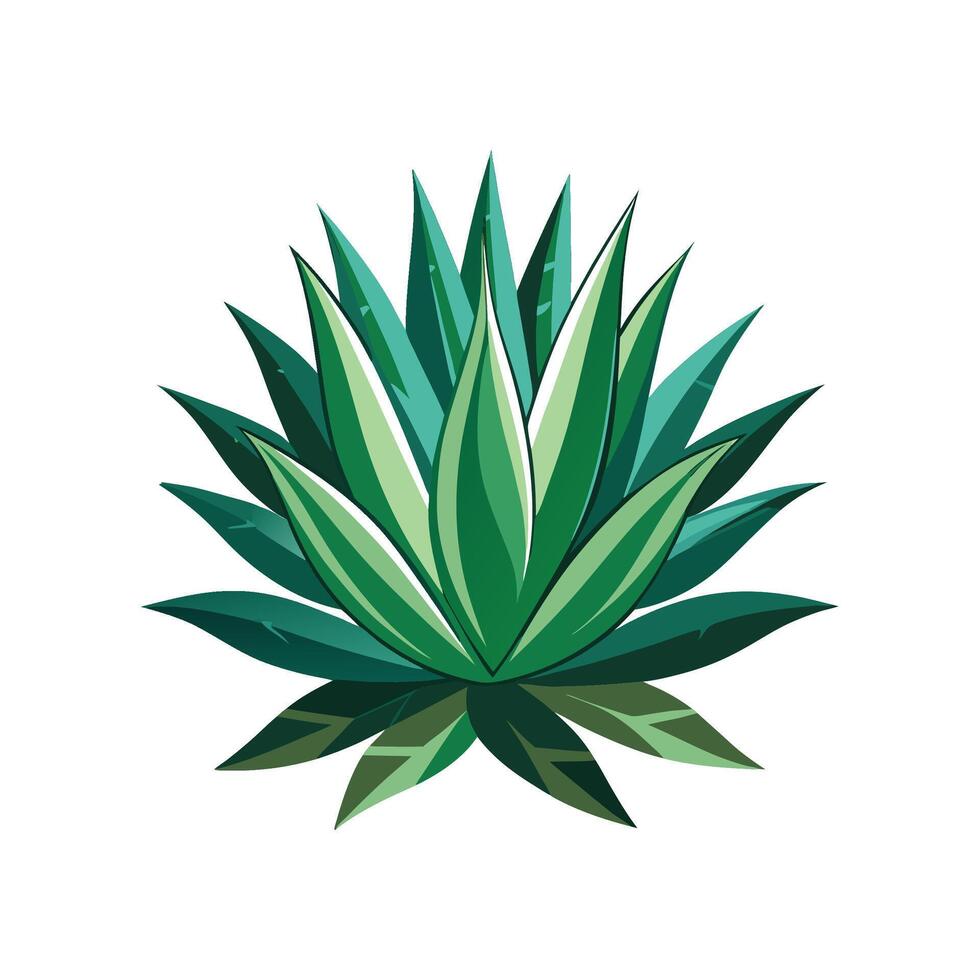 Charming Agave Plant Artwork vector
