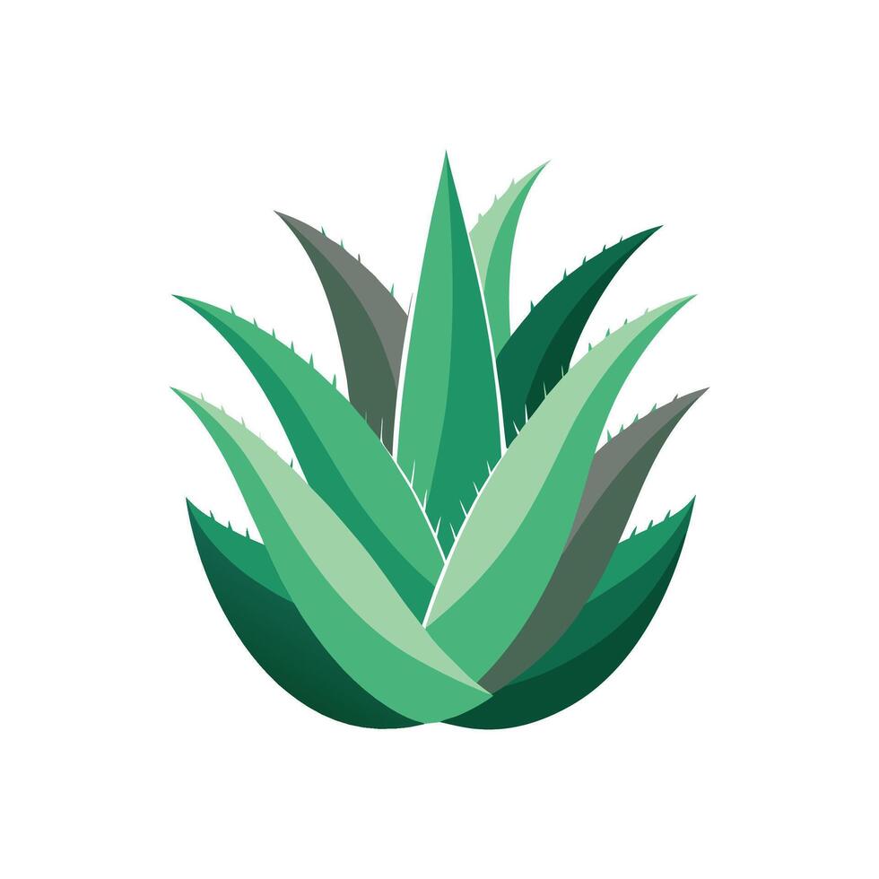 Stylish Aloe Aristata Plant Design vector