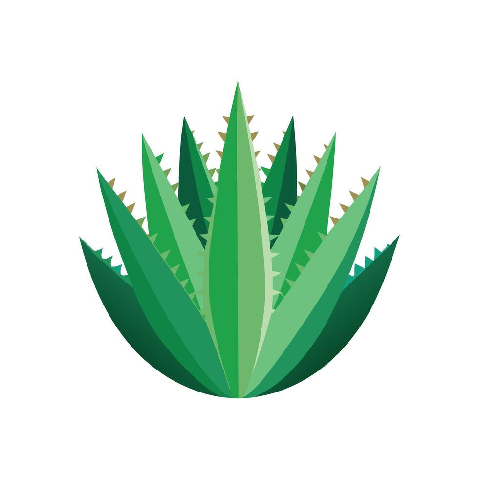 Unique Crosscut Aloe Plant Design vector