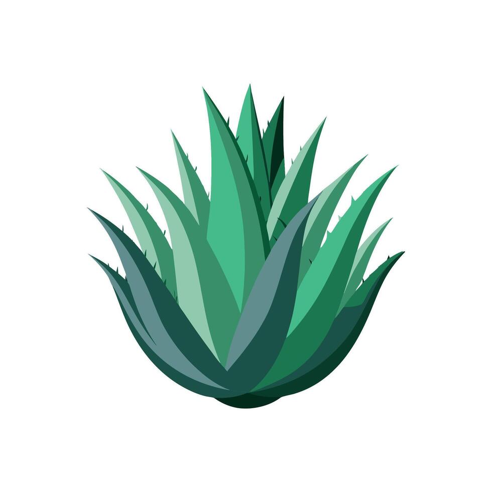Striking Aloe Ferox Plant Illustration vector