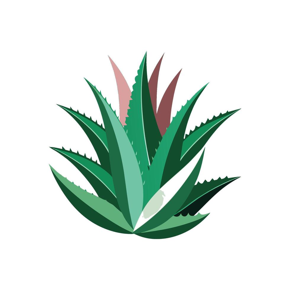 Vibrant Aloe Saponaria Plant Artwork vector