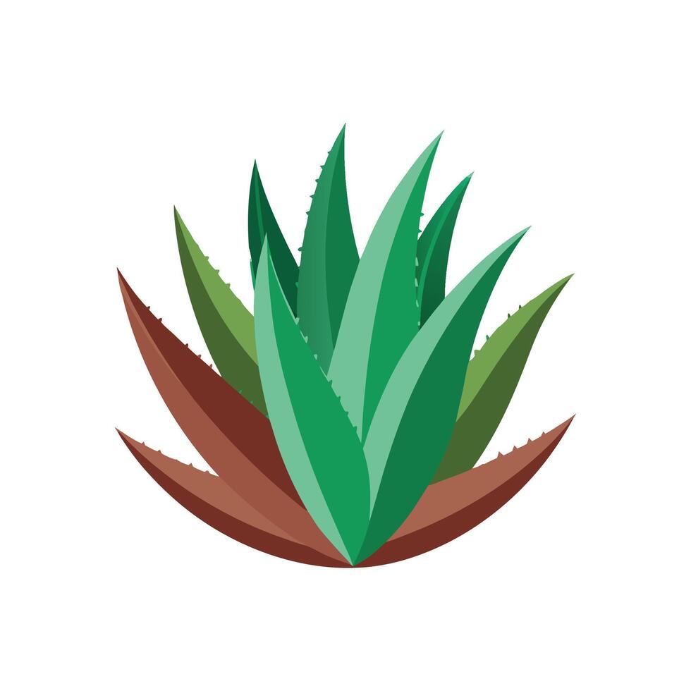 Colorful Aloe Saponaria Plant Design vector