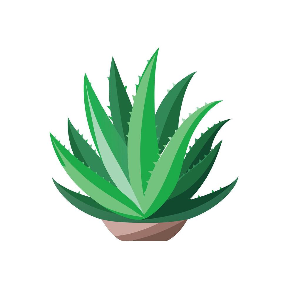 Gorgeous Aloe Vera Plant Artwork vector