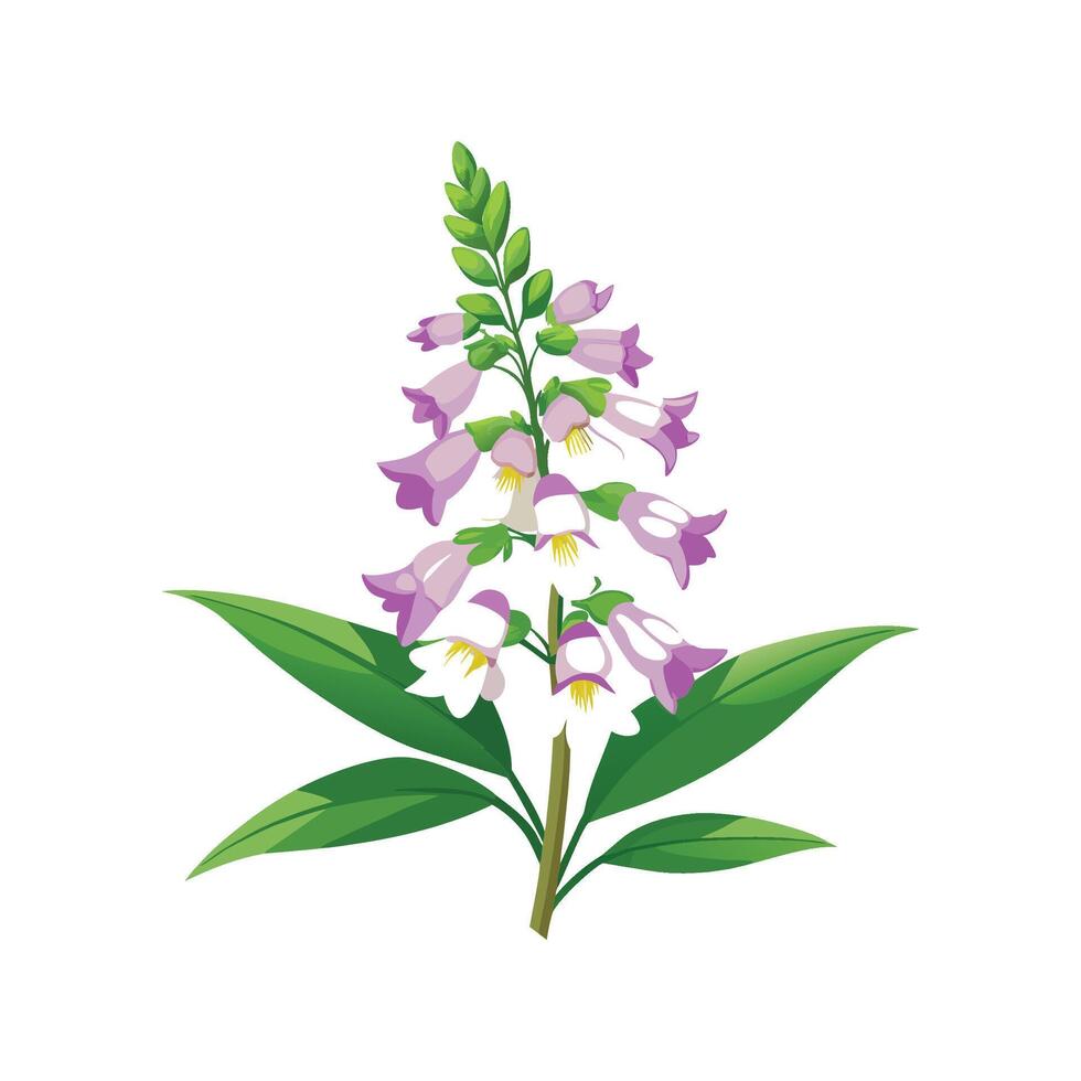 Charming Angelonia Plant Design vector
