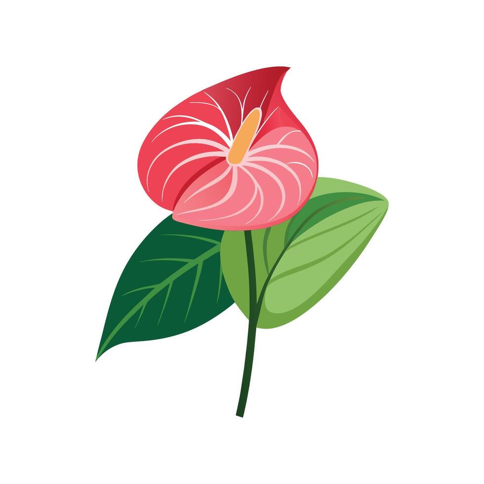 Stylish Anthurium Flower Design Art vector