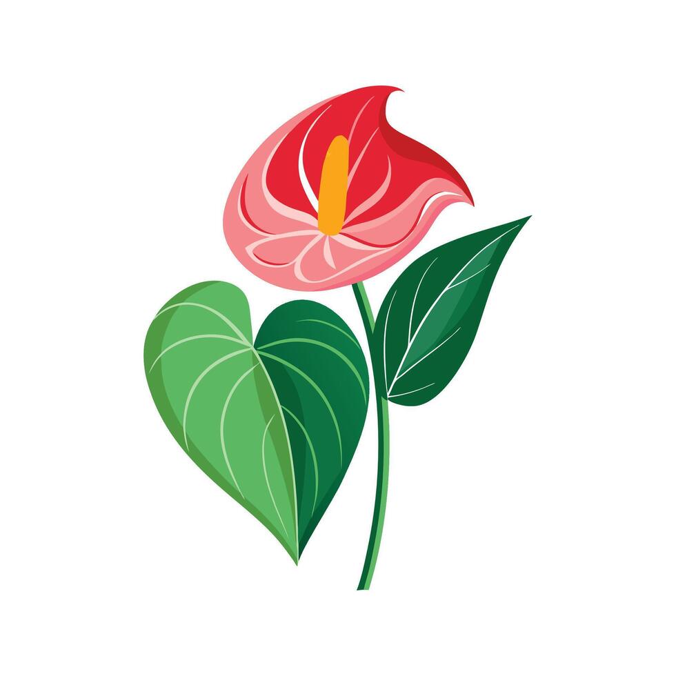 Charming Anthurium Plant Design vector