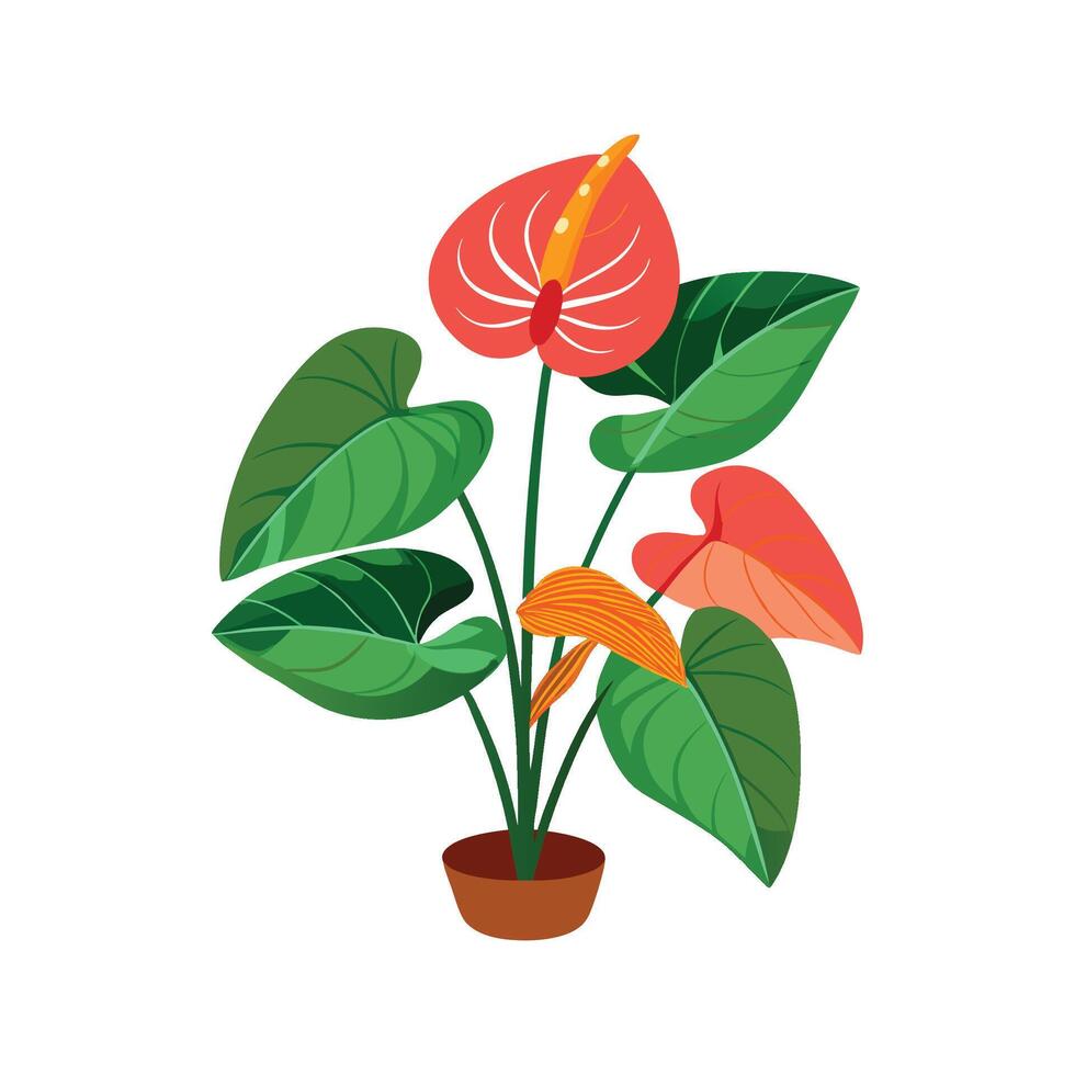 Gorgeous Anthurium Clarinervium Artwork vector