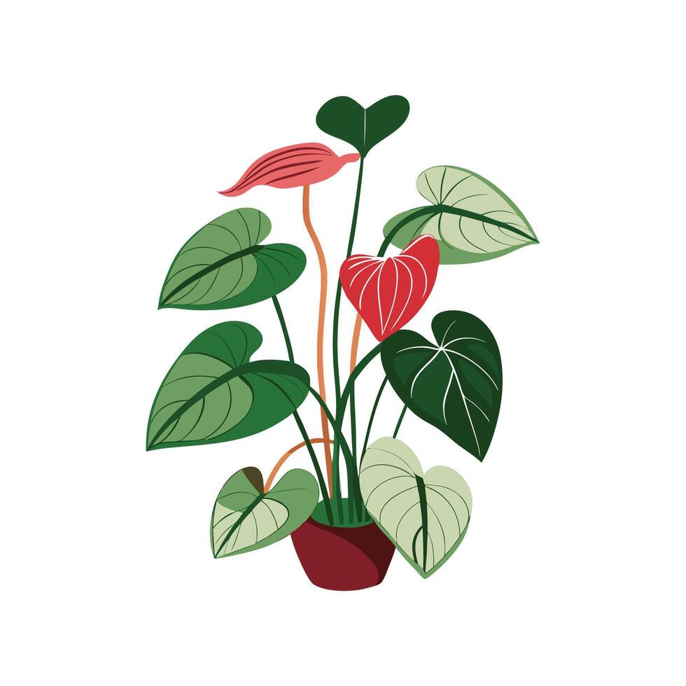 Charming Anthurium Clarinervium Design vector