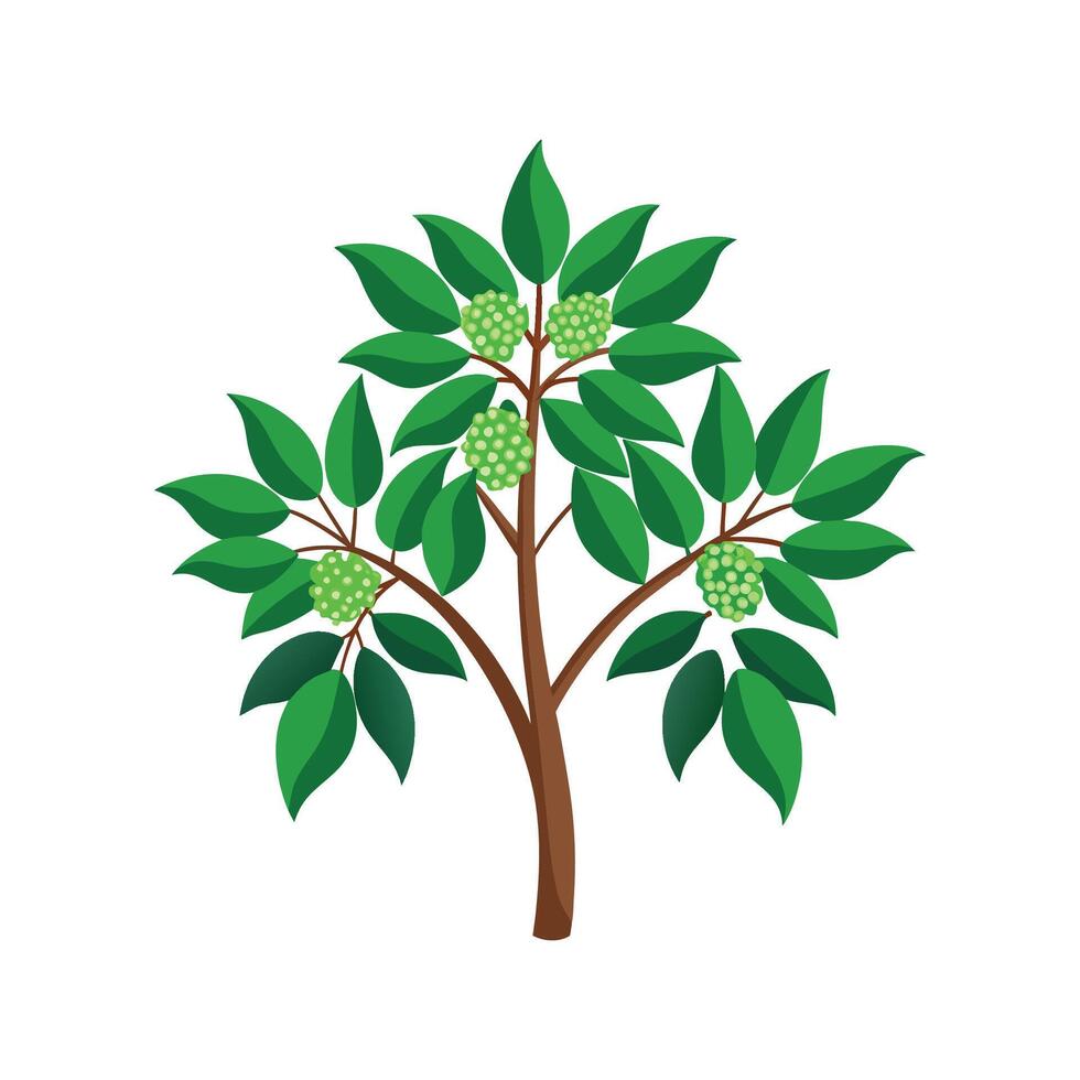 Charming Aralia Plant Illustration vector