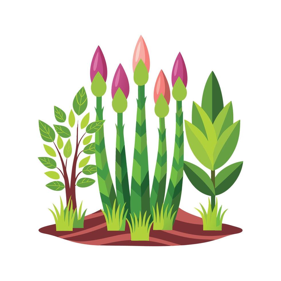 Gorgeous Asparagaceae Family Plant Illustration vector