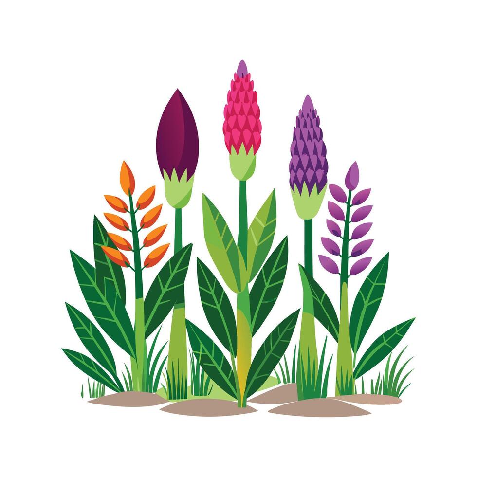 Stylish Asparagaceae Family Plant Artwork vector