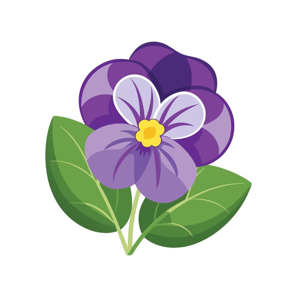 Elegant Australian Violet Plant Design vector