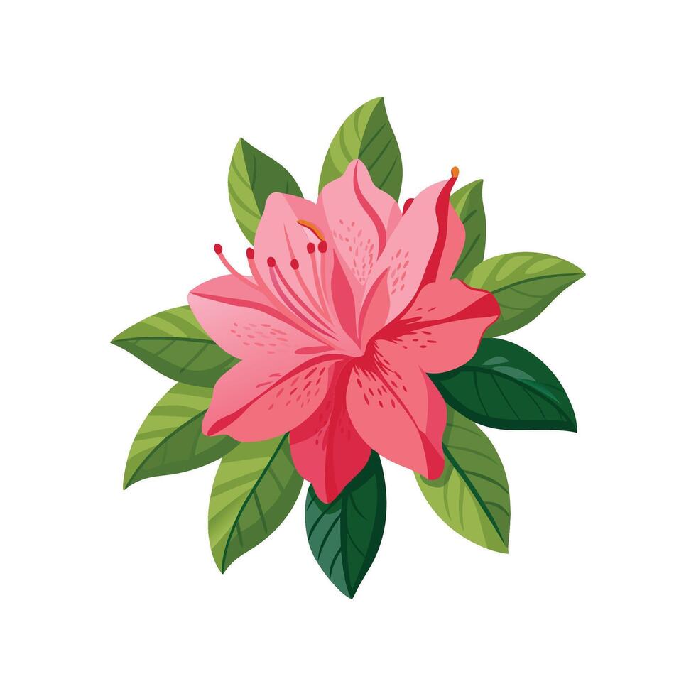 Stylish Azalea Rhododendron Plant Design vector