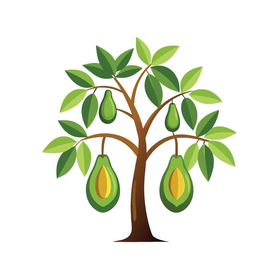 Charming Avocado Tree Plant Illustration vector