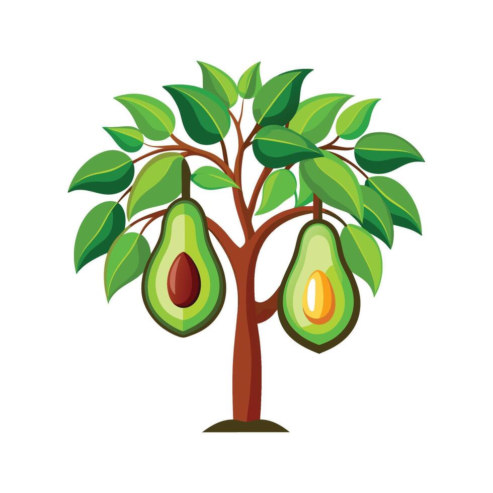 Gorgeous Avocado Tree Plant Design vector