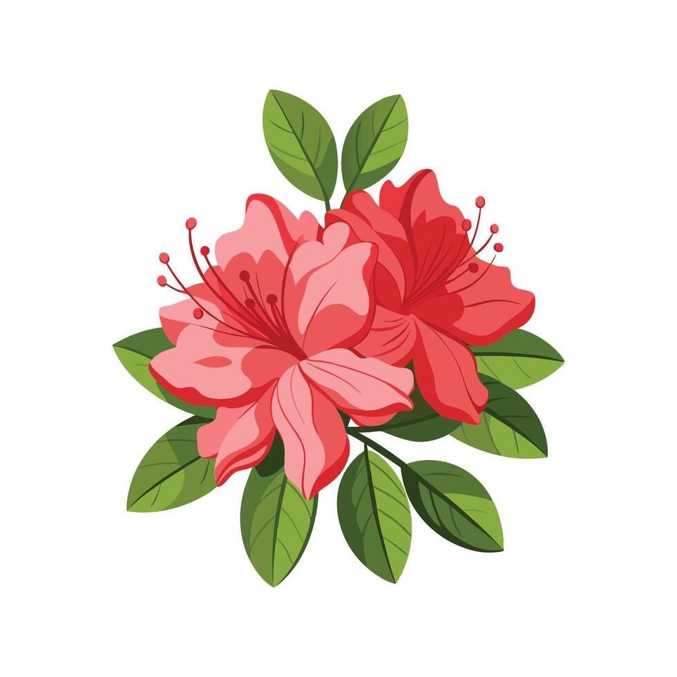 Gorgeous Azalea Rhododendron Illustration vector