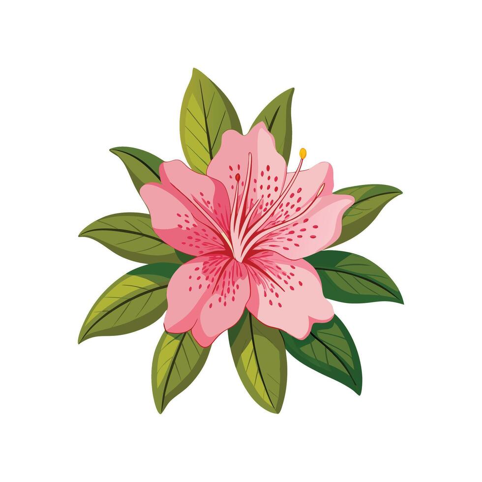 Vibrant Azalea Rhododendron Plant Artwork vector