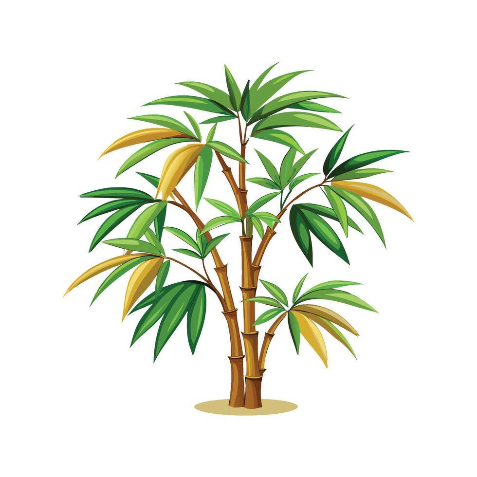 Lovely Chamaedorea Bamboo Palm Design vector