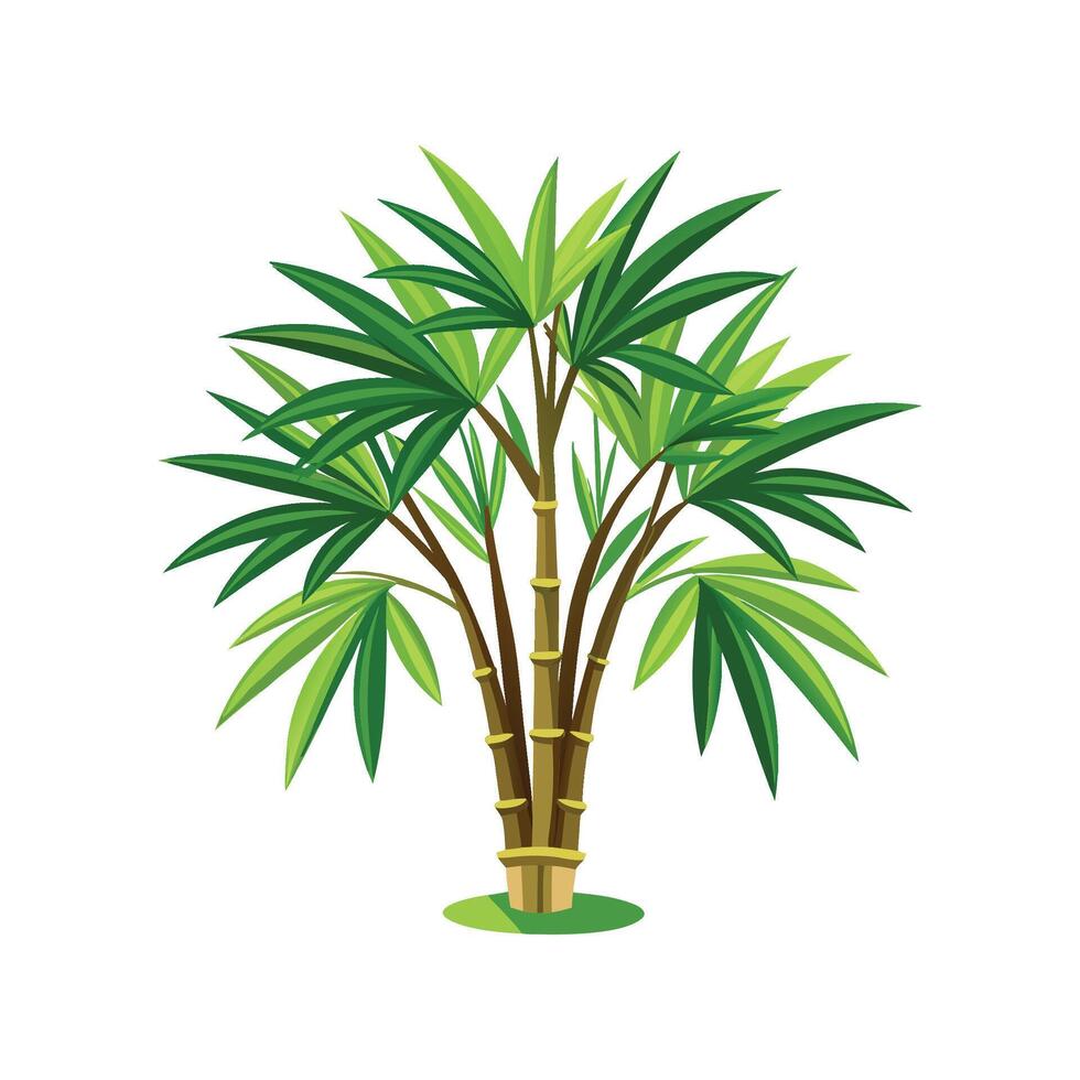 Stunning Seifrizii Bamboo Palm Plant vector