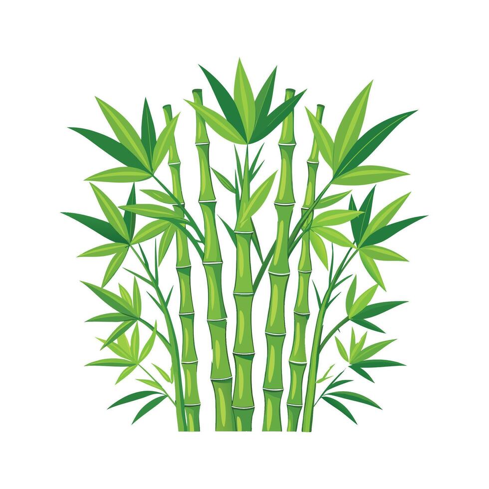 Elegant Bambusoideae Bamboo Plant Illustration vector