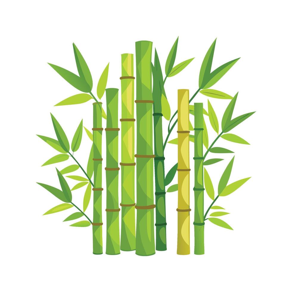 Stunning Bambusoideae Bamboo Plant vector