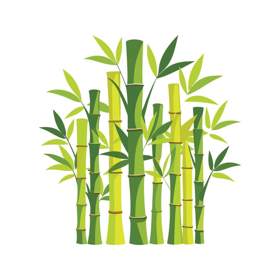 Lush Bambusoideae Bamboo Plant Design vector