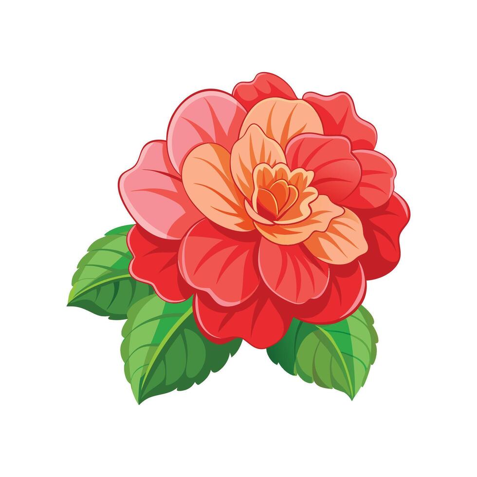 Charming Begonia Plant in Bloom vector
