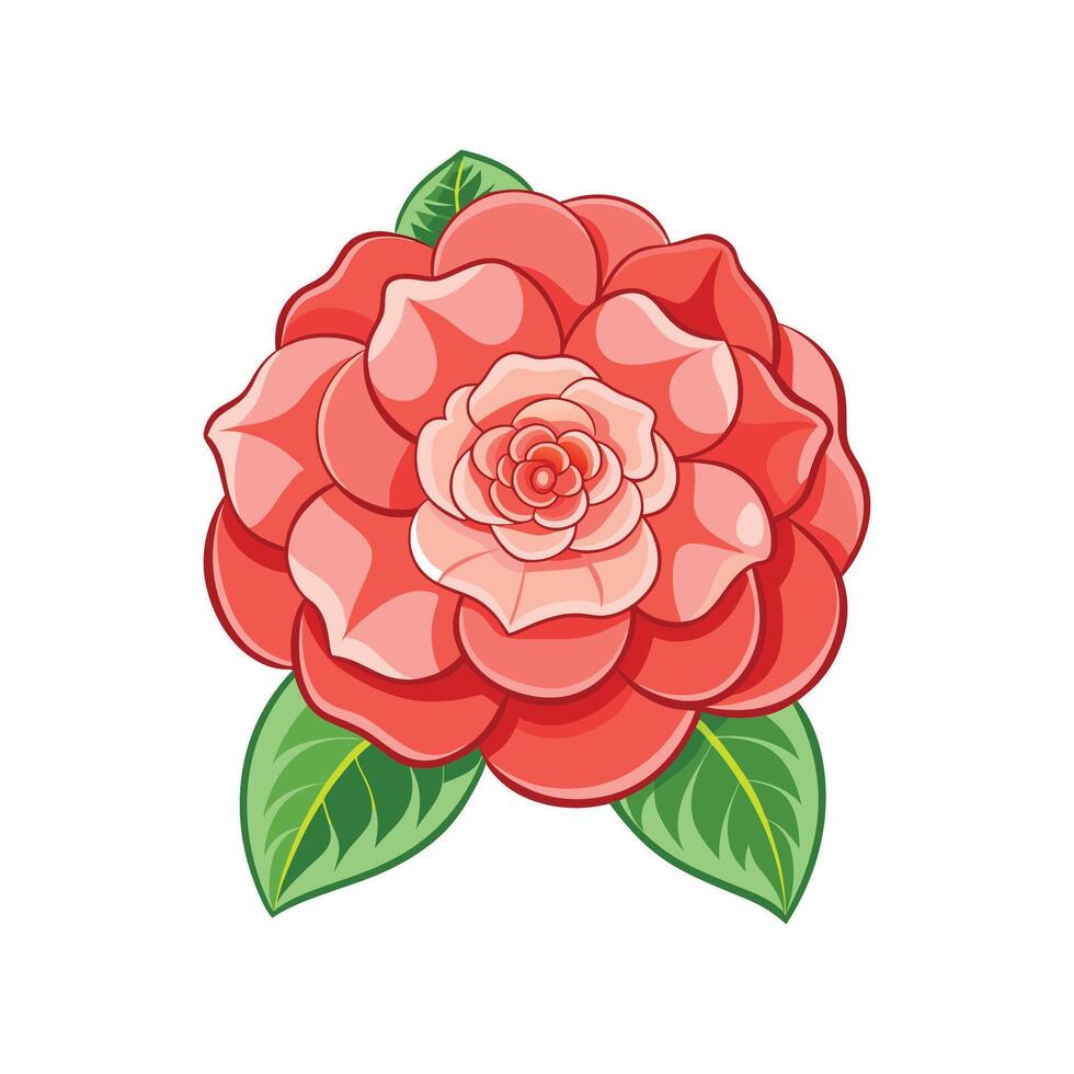 Elegant Begonia Plant with Flowers vector