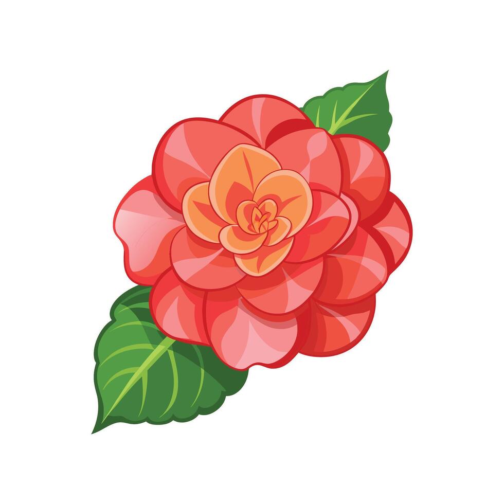 Vibrant Begonia Plant with Colorful Flowers vector