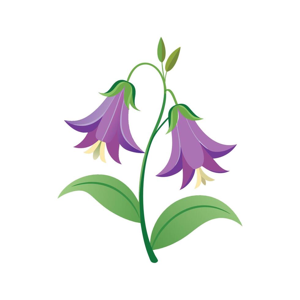 Vibrant Bellflower Plant in the Garden vector