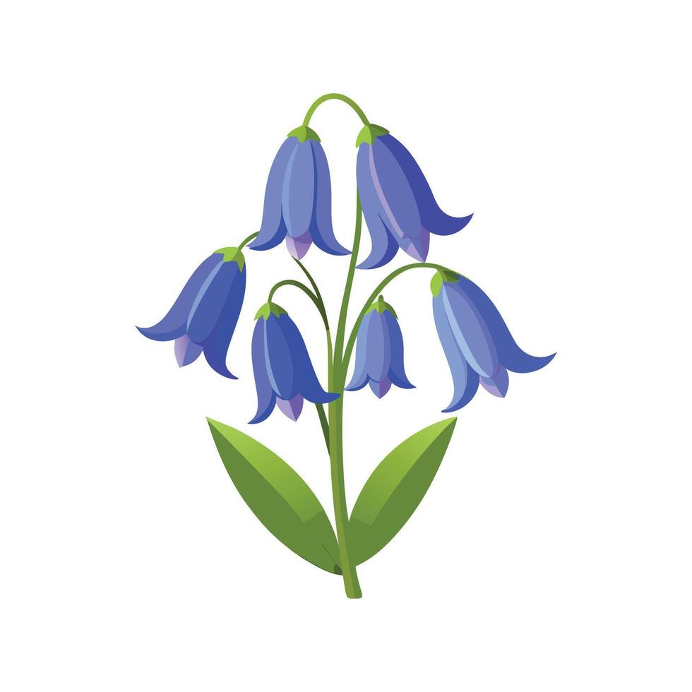 Stunning Bluebell Plant in Bloom vector
