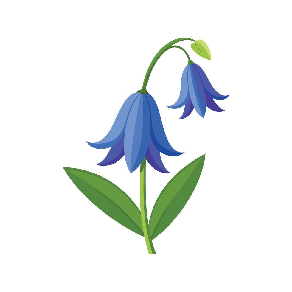 Vibrant NonScripta Bluebell Plant vector