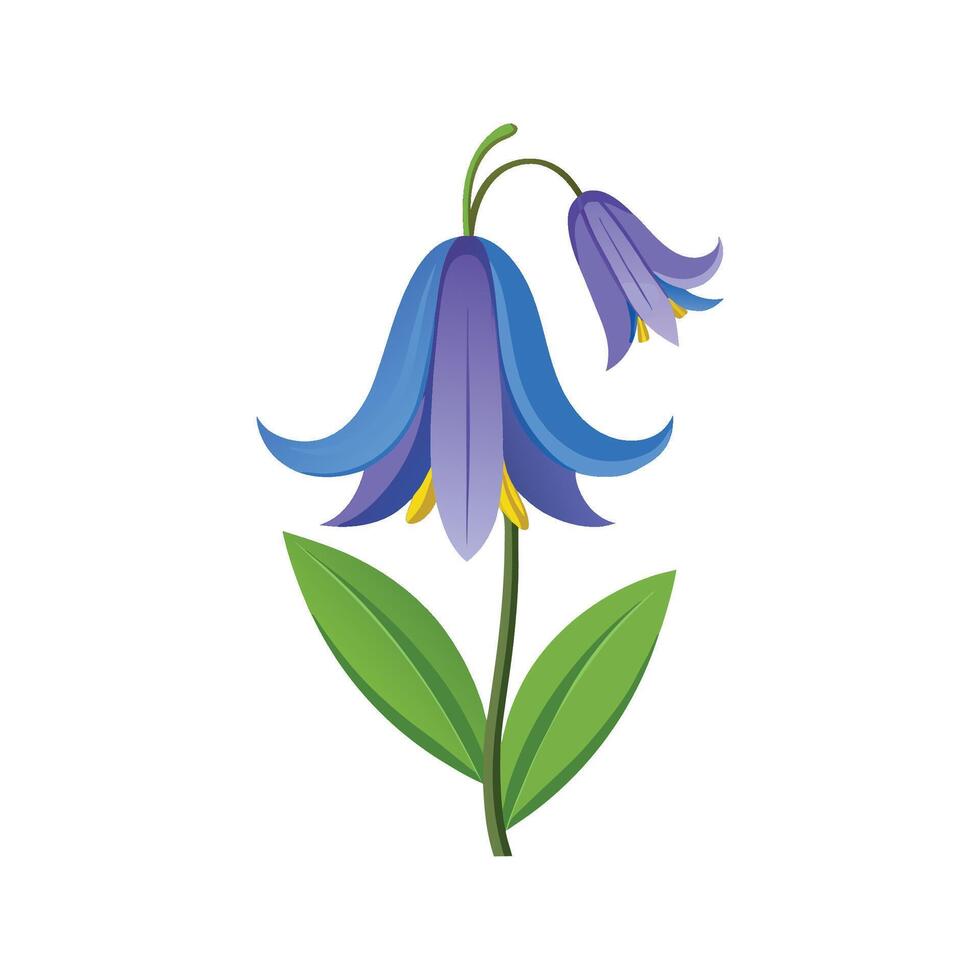Stunning NonScripta Bluebell Plant vector
