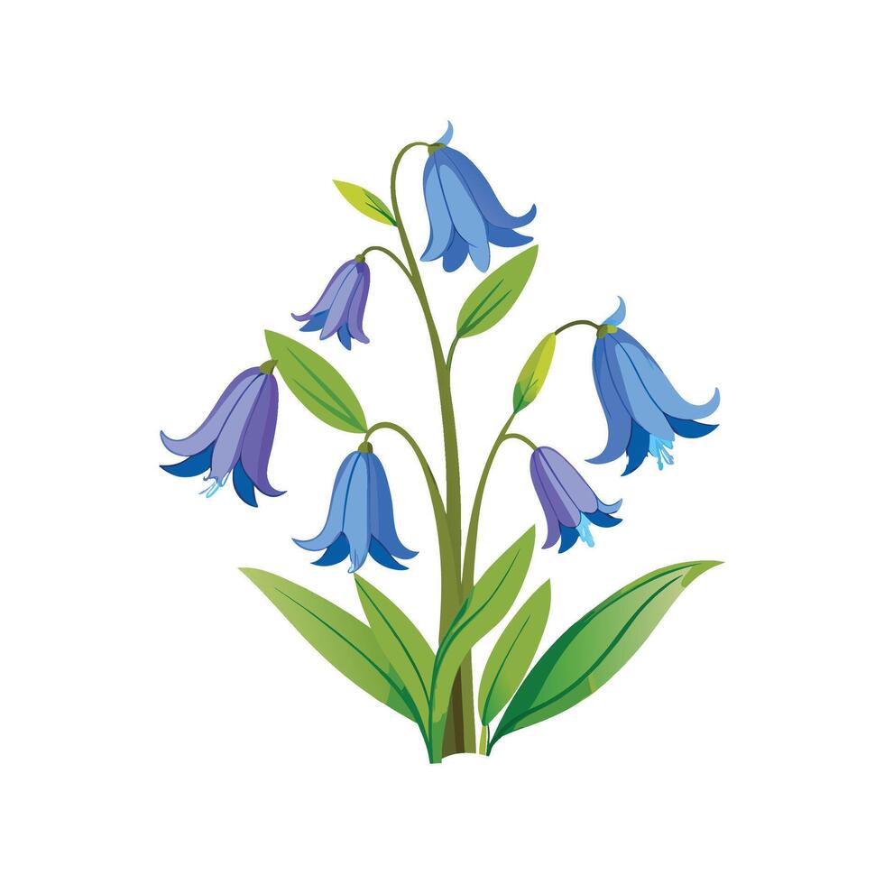 Elegant Bluebell Plant Illustration vector