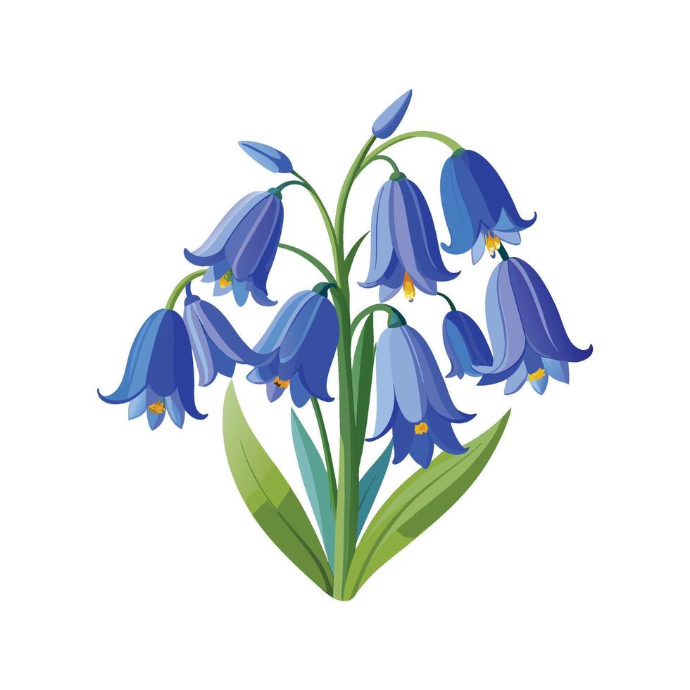 Charming Bluebells in the Garden vector