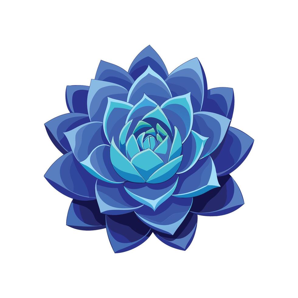 Stylish Blue Echeveria Plant Design vector