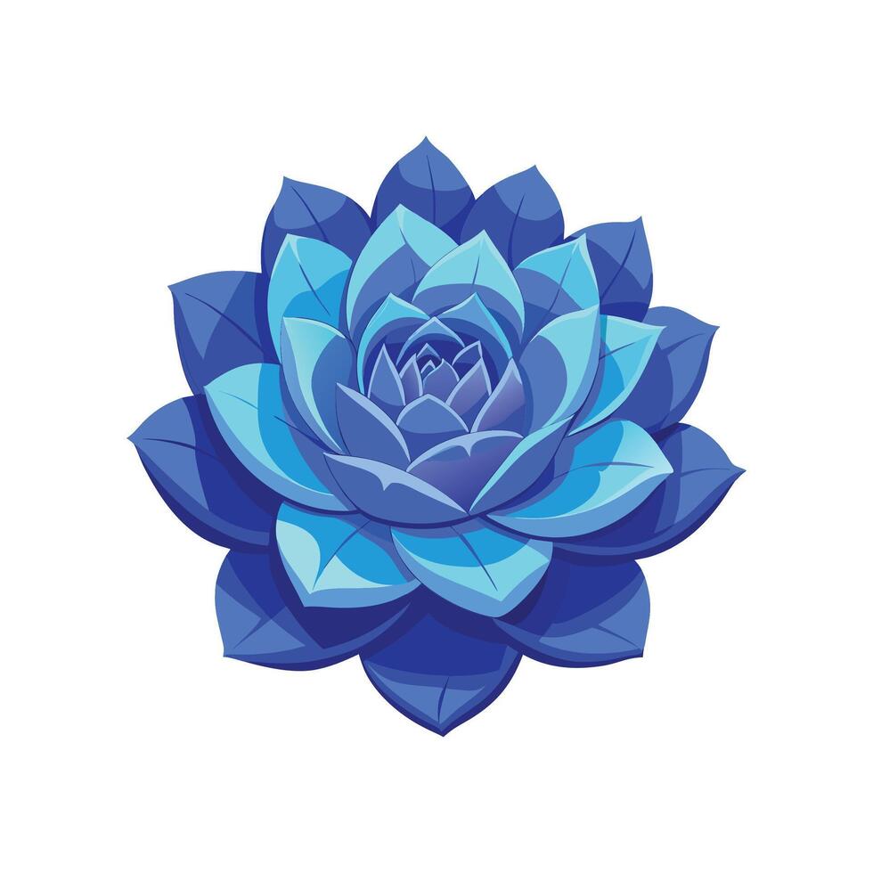 Charming Blue Echeveria Plant Illustration vector