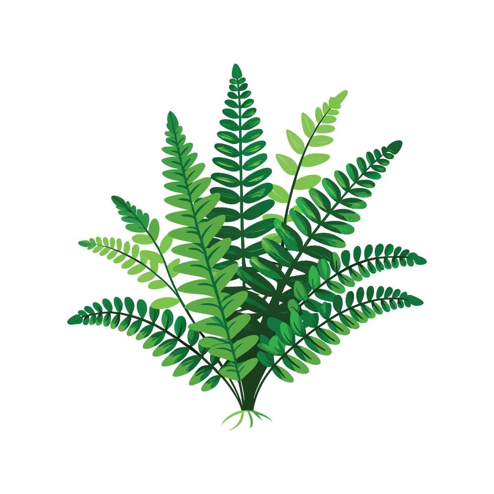Charming Boston Fern in Bloom vector