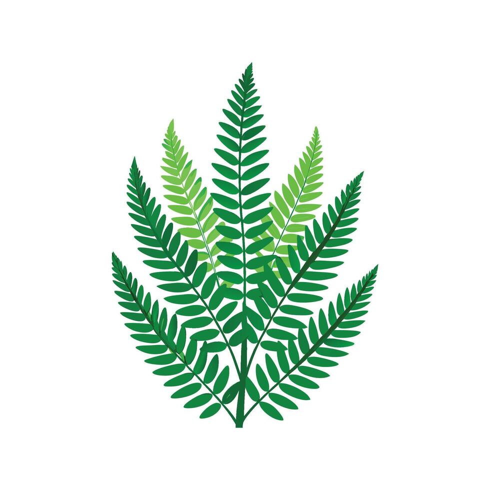 Vibrant Boston Fern in Greenery vector