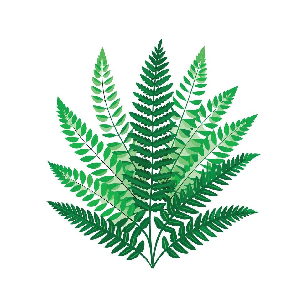 Charming Nephrolepis Exaltata Plant vector