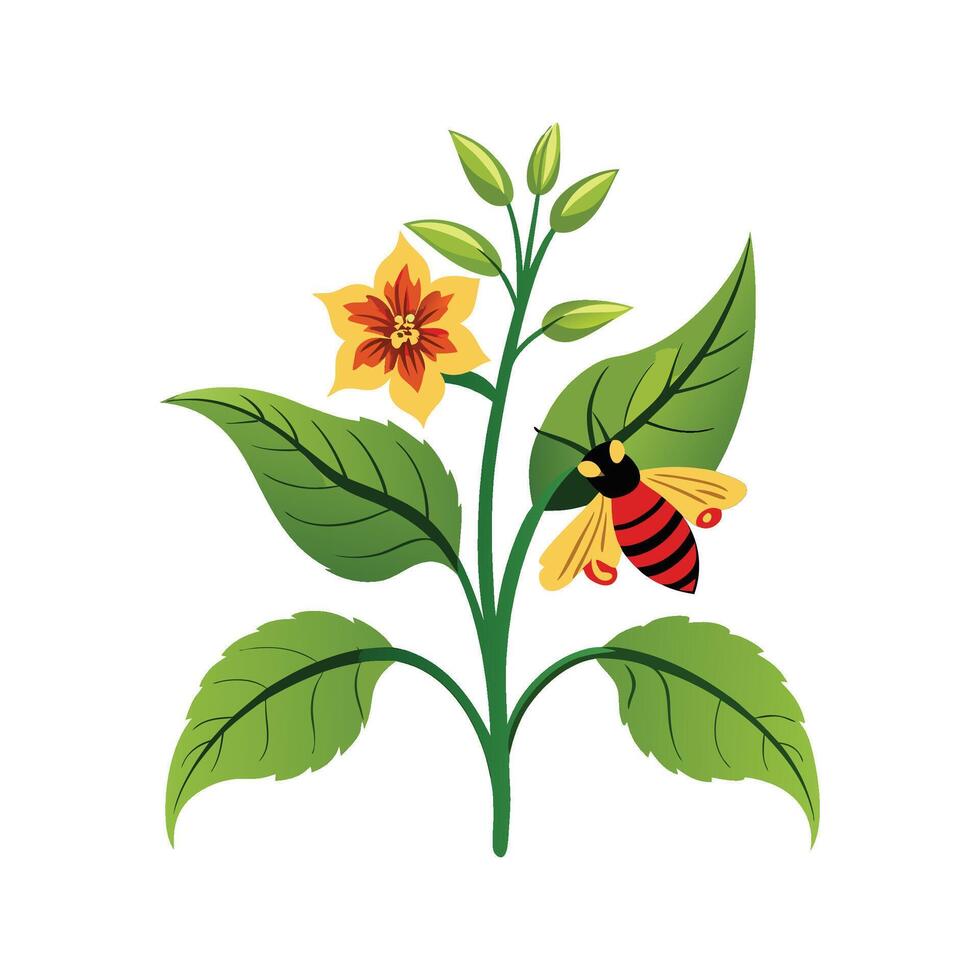 Elegant Bumblebee Mimulus Plant vector